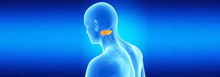 Chiropractic Grapevine TX Craniocervical Correction