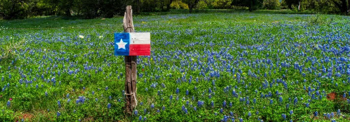 Healistic Wellness Center in Coppell TX