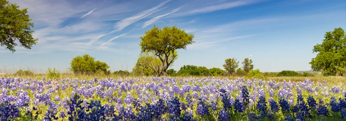 Healistic Wellness Center in Southlake TX Healistic Wellness Center in Southlake TX